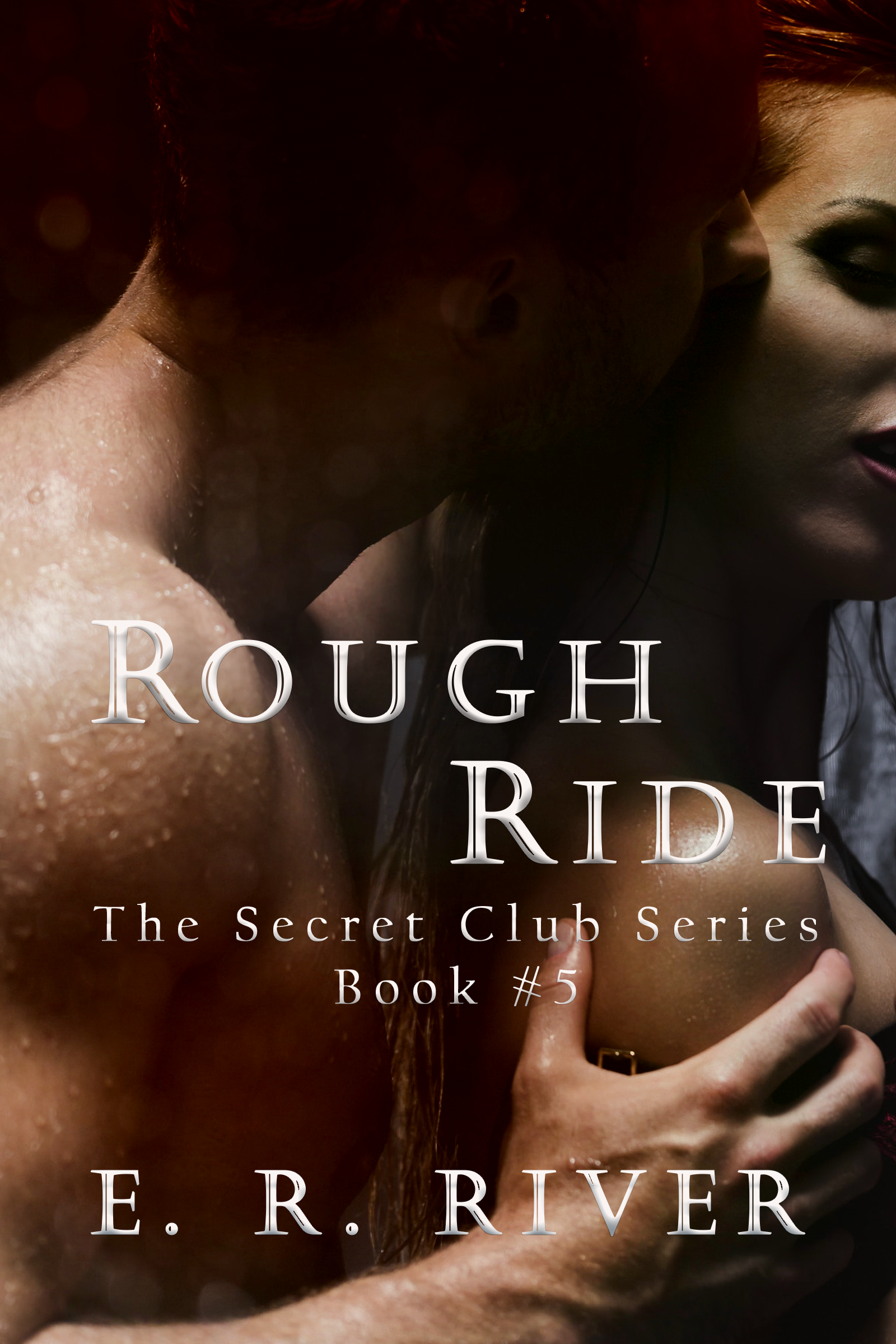 Rough Ride by E.R. River