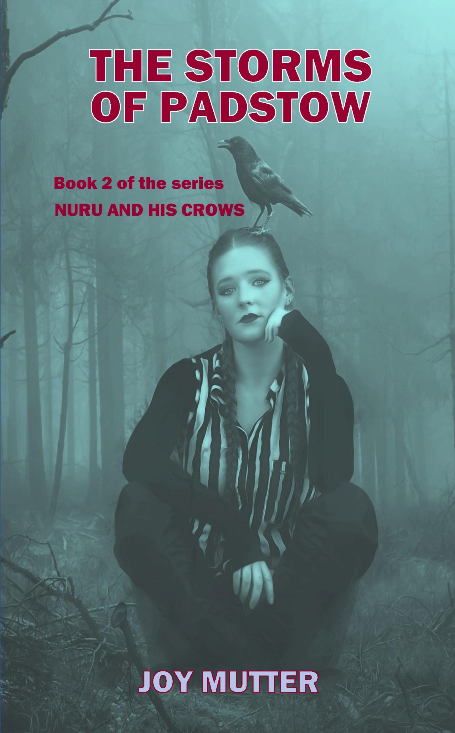The Storms Of Padstow by Joy Mutter